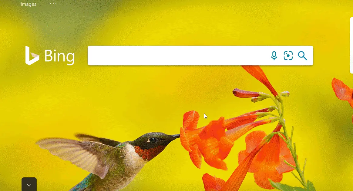 5f63f11db1b10d10e7eff6ae_E49J9GmDz3vw-yhd6GMpcv_anPSiqoFUz2_w4sXxriBJ-8E5GB6Fkwwb9F12DDMKbsgngMe4ABb4RMcd2dyMPvQZlQhM11AJkUCdB2GKjMRJIq5r26-E3VRzVSvtV6ES37JkCxN5-ezgif.com-gif-to-webp-converter
